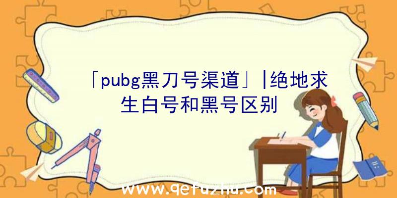 「pubg黑刀号渠道」|绝地求生白号和黑号区别